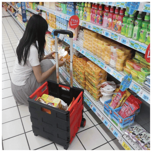 Carrito Plegable para compras.